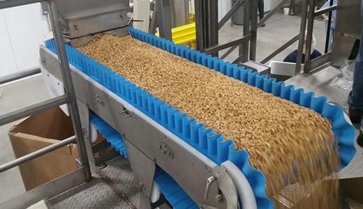 <a href='http://m1301.cn' target='_blank'><u>電子皮帶秤</u></a>有新意，也有逃不開的老問題