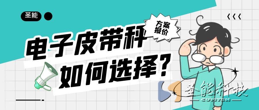 圣能科技<a href='http://m1301.cn/' target='_blank'><u>皮帶秤</u></a>