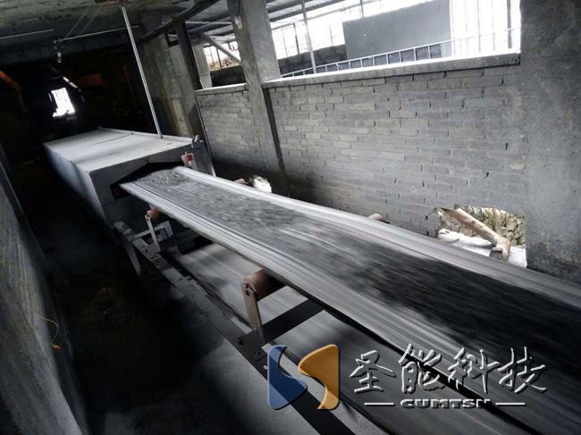 圣能科技<a href='http://m1301.cn' target='_blank'><u>電子皮帶秤</u></a>項目