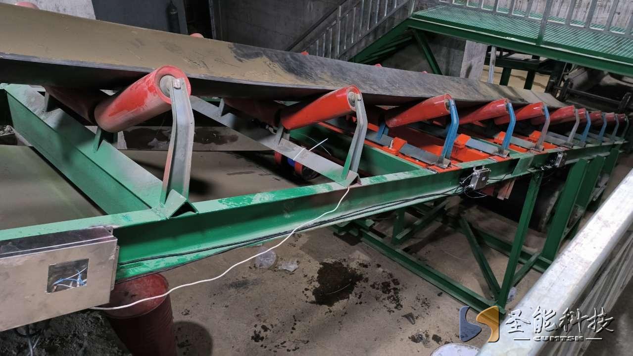 圣能科技防爆<a href='http://m1301.cn' target='_blank'><u>電子皮帶秤</u></a>