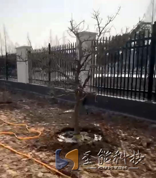 “植”此青綠，添彩圣能靜待花開(kāi)